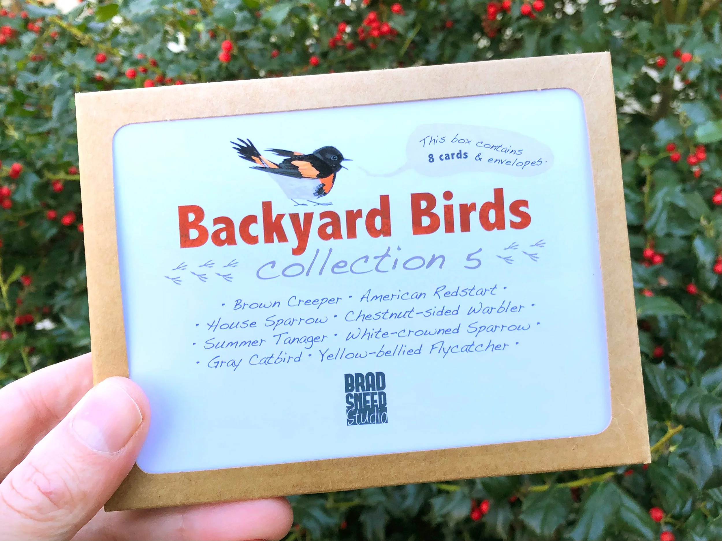 Blank Note Card Set, Backyard Birds Collection 5 — Brad Sneed
